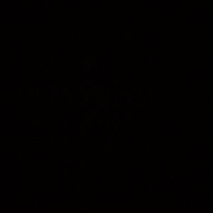 Meet your Posher, Yeet